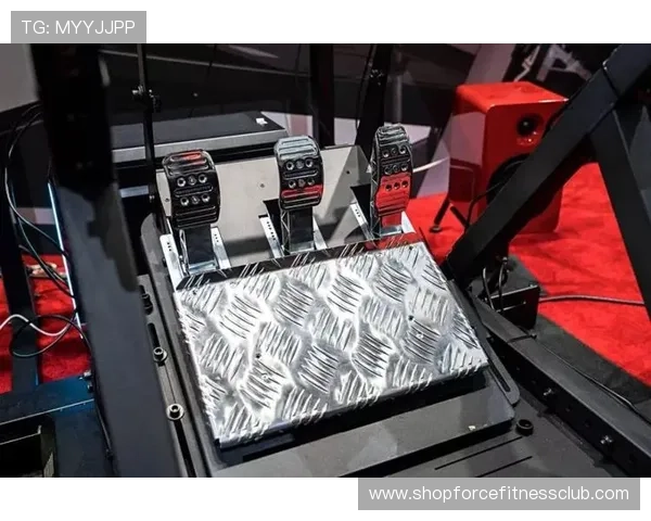 如何在PA真人模拟器中获得最佳体验，实用技巧与细节操作指南