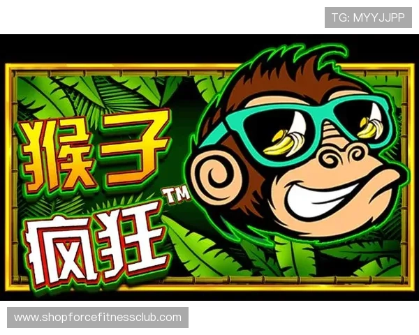 AG真人网投下载最新版本，支持多设备畅玩真人娱乐游戏的完整攻略