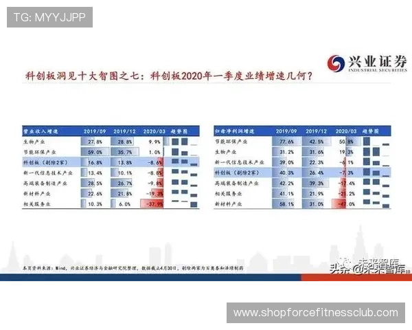 U体育百家乐官网的奖金制度与玩家奖励机制全方位解析