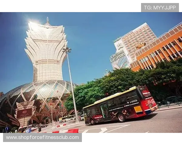 全面解析澳门百家乐赔率变化趋势,助你精准判断赢取概率提升盈利