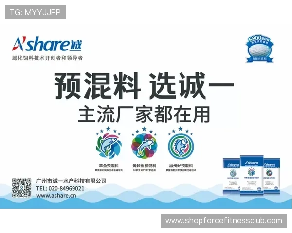 博鱼真人官方入口客服支持全攻略，提供全天候专业服务保障