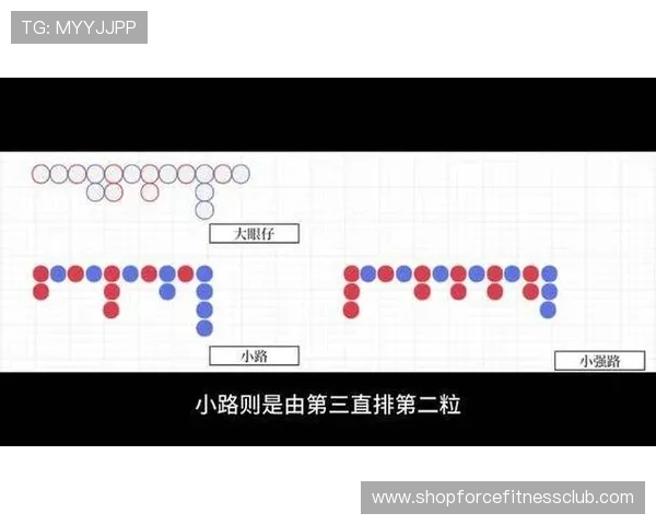 实战百家乐路单教程帮助你制定科学下注策略提升盈利空间