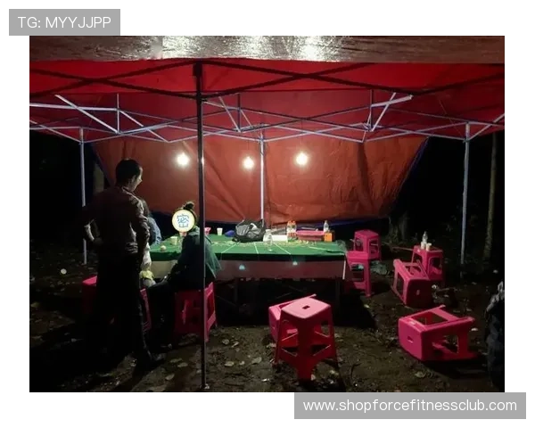 网络赌博百家乐法律法规最新动态及相关政策解读帮助玩家合法合规参与网络博彩活动的必备知识