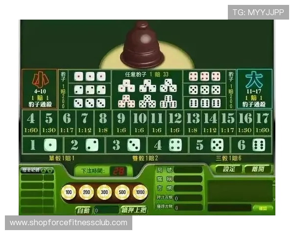 深入解析百家樂完美對子的概率与实战应用技巧帮助玩家稳步提升盈利